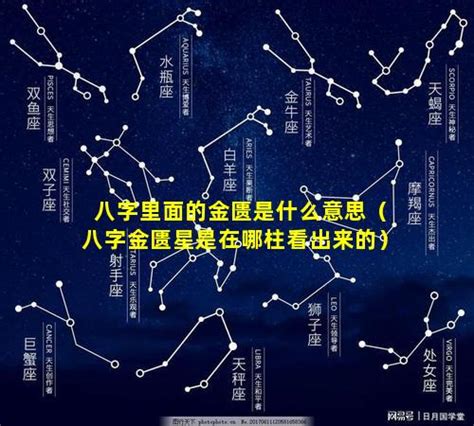 金匮星|时柱金匮星代表什么意思，婚姻、财富、性格等方面的解析